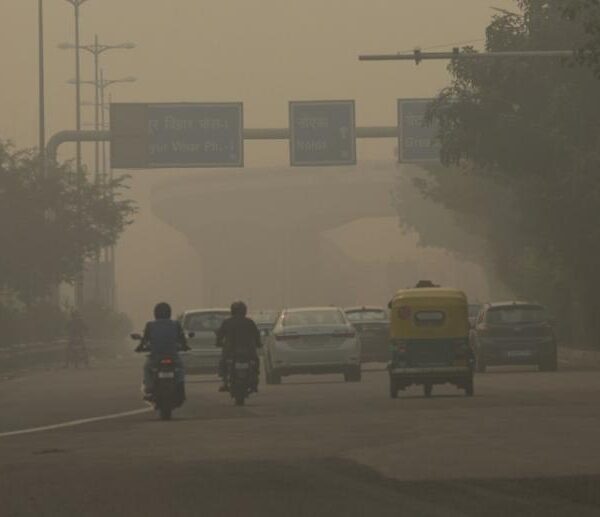 Chemical speciation and source apportionment of ambient PM2.5 in New Delhi before, during, and after the Diwali fireworks